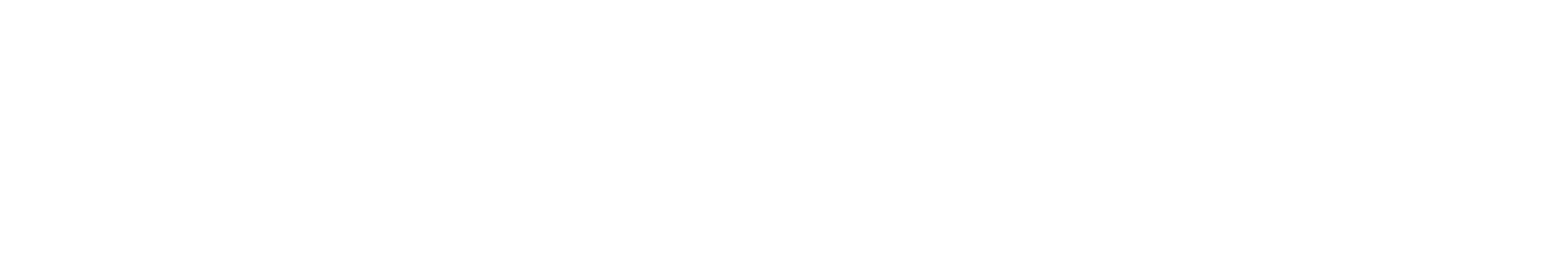 logo blanco 5@4x